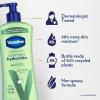 Vaseline Intensive Care Body Lotion 4 Count Soothing Hydration for Dry Skin with Ultra-Hydrating Lipids + 1% Aloe Vera Extract to Refresh Dehydrated Skin 20.3 Oz(20.3 Fl Oz (Pack of 3))
