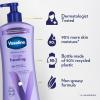 Vaseline Intensive Care Calm Healing Body Lotion 4 Count for Dry Skin Lotion Made with Ultra-Hydrating Lipids and Lavender Extract to Heal and Restore Dry Skin 20.3 Oz(20.3 Fl Oz (Pack of 3))