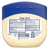 Vaseline Petroleum Jelly Baby Skincare Protective & Pure 4 Count Treats Dry Skin And Prevents Chaffed Skin From Diaper Rash Hypoallergenic And Gentle On Skin 13oz(13 Ounce (Pack of 6))