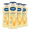 Vaseline Intensive Care Body Lotion Nourishing Moisture 4 Count for Dry Skin, with Ultra-Hydrating Lipids + Pure Oat Extract 20.3 oz(20.3 Fl Oz (Pack of 4))